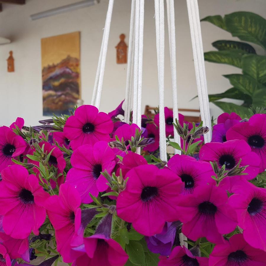 דירות Santarém Casa Hnobre מראה חיצוני תמונה